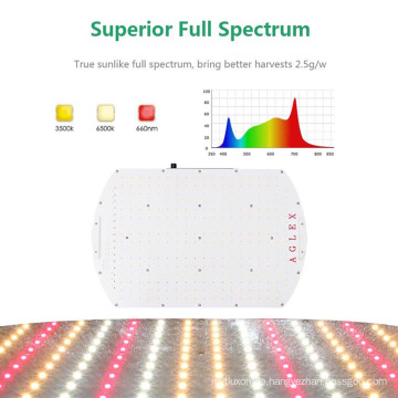 Volles Spektrum -LED -Wachstum von Leuchten für Gemüse